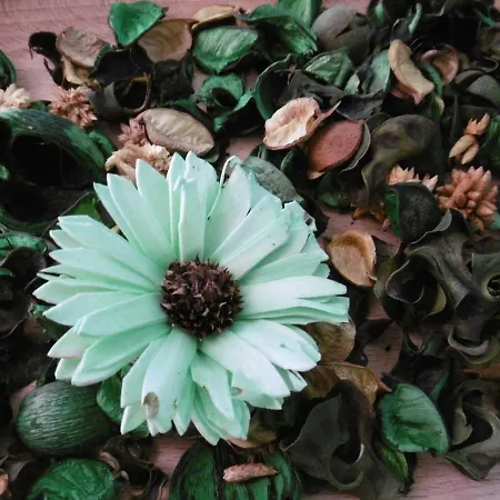 Casa Ivanka 住宿加早餐酒店 3*